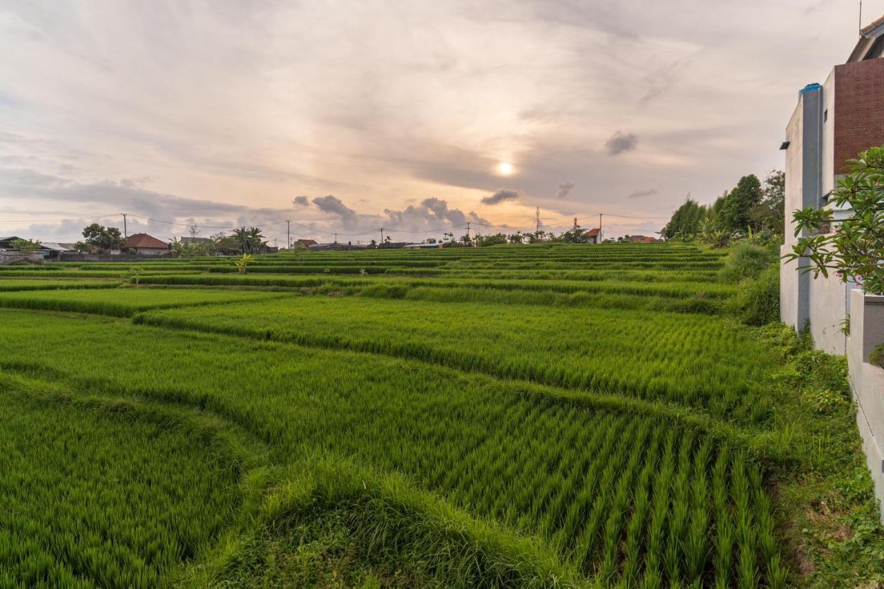 D'Macho Villas Ubud المظهر الخارجي الصورة