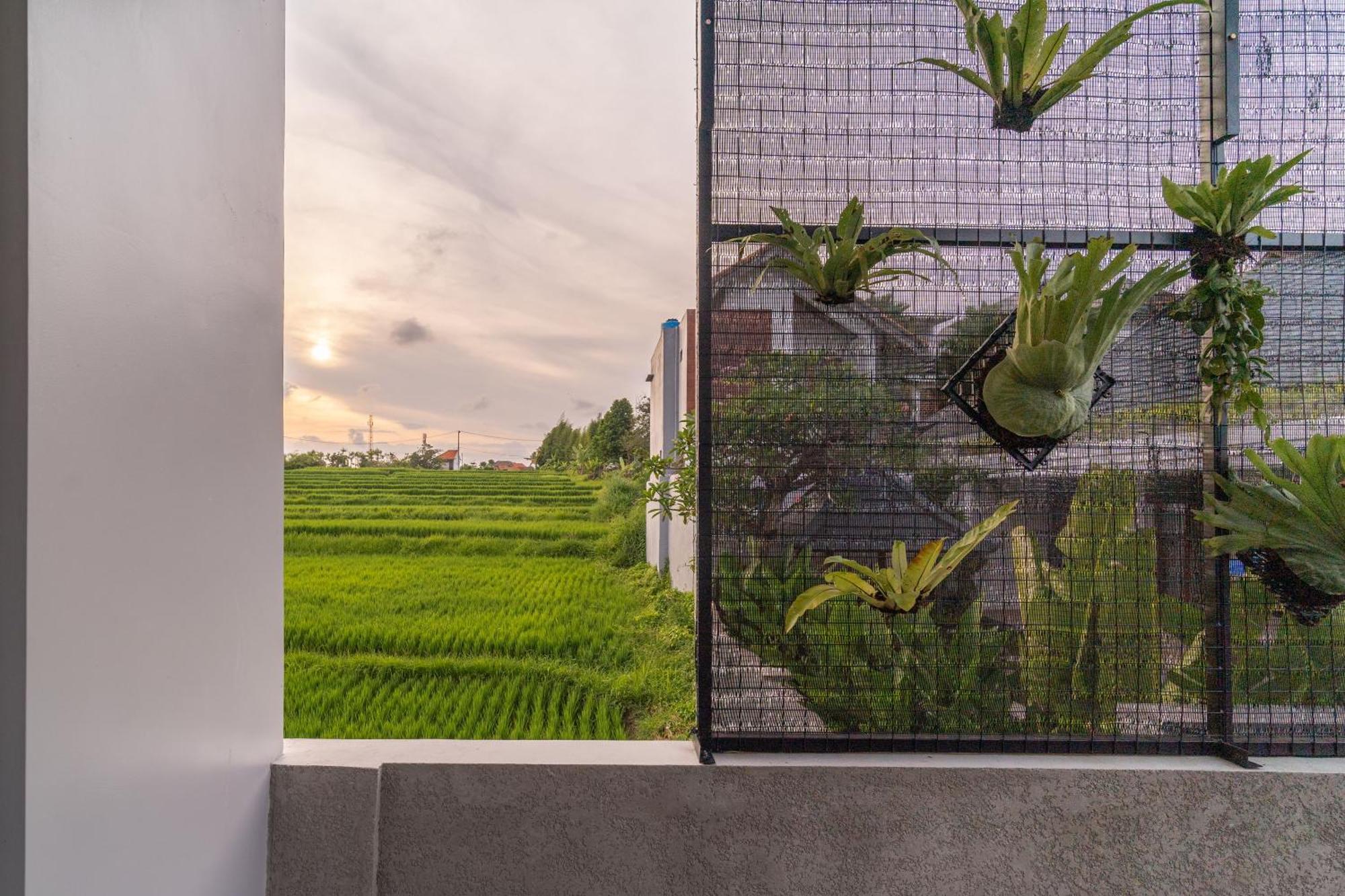 D'Macho Villas Ubud المظهر الخارجي الصورة